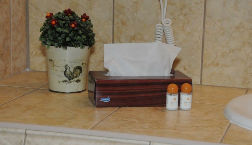 RODINNÝ PENSION ANTONI Český Krumlov - Třílůžkový pokoj CLASIC